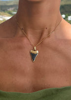 Black Diamond Shark Tooth Pendant