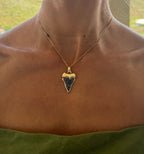 Black Diamond Shark Tooth Pendant