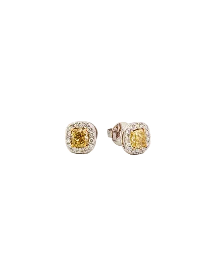 GIA Yellow Diamond Studs