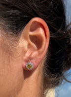 GIA Yellow Diamond Studs
