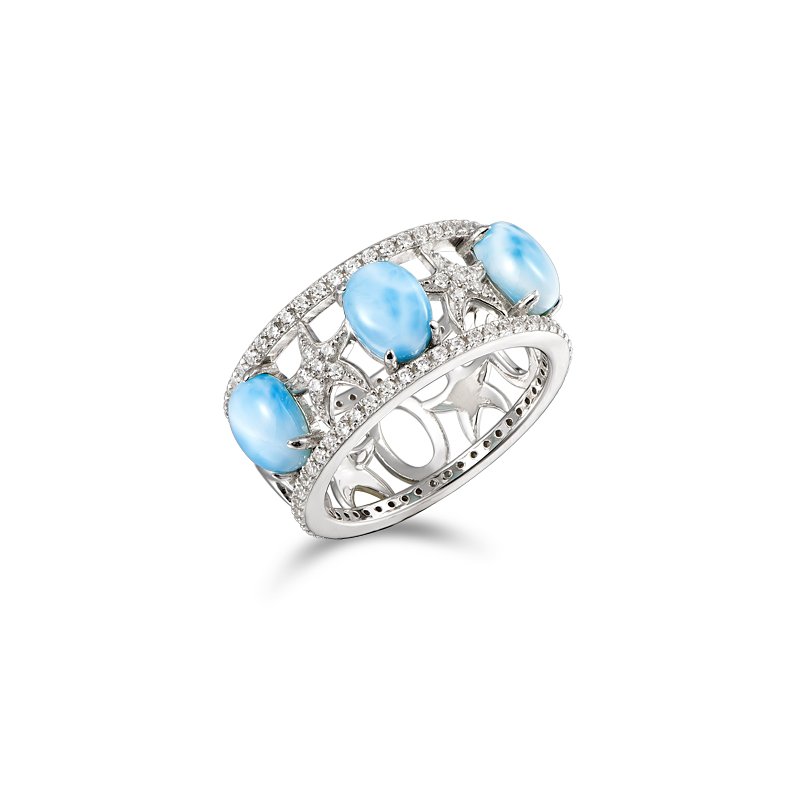 Larimar and Starfish Band